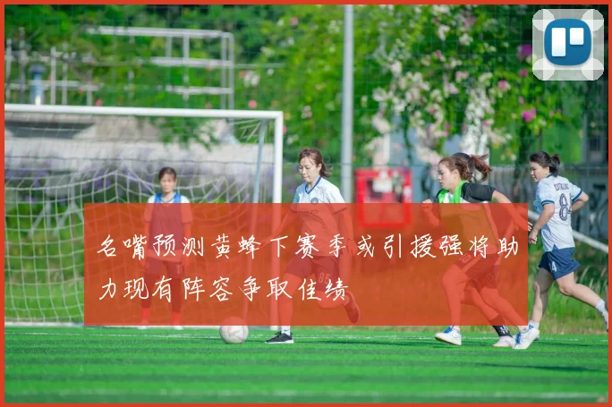 名嘴预测黄蜂下赛季或引援强将助力现有阵容争取佳绩