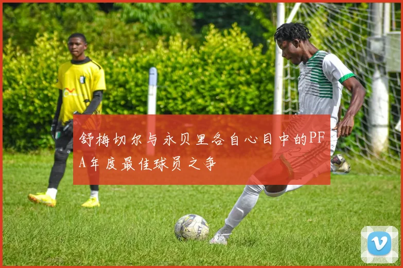 舒梅切尔与永贝里各自心目中的PFA年度最佳球员之争